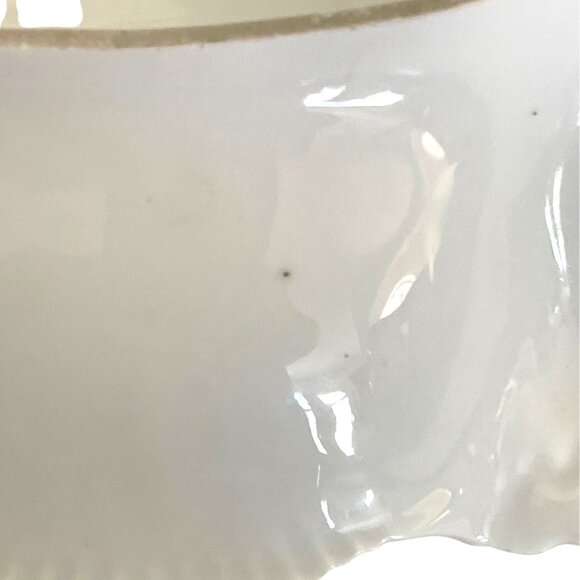 RS Prussia Porcelain Celery Relish Serving Dish Pink Rose Flower Floral Antique - Picture 12 of 15